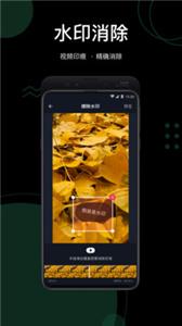抖快去水印最新版app下载 v1.0.4