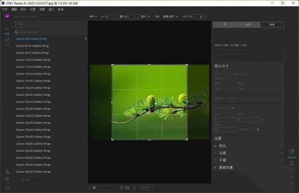 ON1 Resize Ai 2023(照片放大软件)免费版 17.0官方版