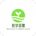 菜芽招聘app下载 v1.0