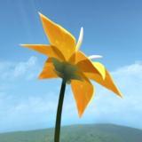 Flower花最新版下载 v1.3.0